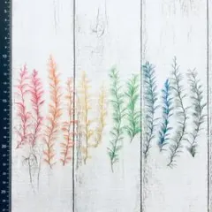 ♪rin♪様 リクエスト 2点 まとめ商品