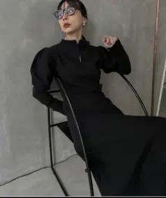 UNDPUFFSLEEVE FIT AND FLARE DRESS アメリ