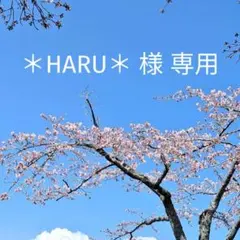 ＊HARU＊様専用