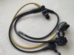 Item thumbnail for item 323c3f3e-55ba-4104-89a9-cf1cd93206d4