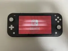 ※ジャンク品　Nintendo Switch Lite グレー