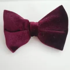 Item thumbnail for item 7ded524c-a004-4321-8d7e-ab3c0968ecac