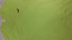 HOLLISTER Tシャツ