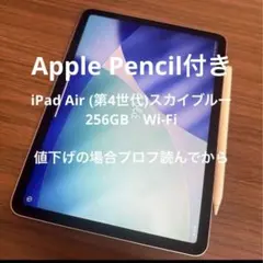 아이패드 에어 4세대 256GB 스카이 블루