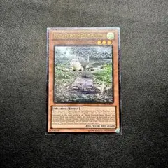 遊戯王カード 英語版 海外版 幻獣機ハムストラット LTGY レリーフ