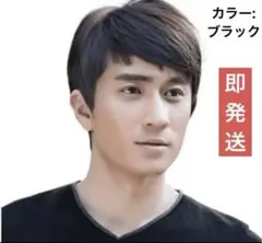 フルウィッグ かつら カツラ wig メンズ 男性 男装 ショート 短い 短髪のサムネイル