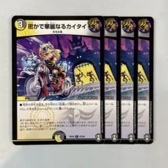 147386 密かで華麗なるカイタイ