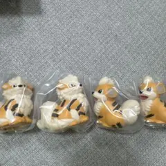 ポケモンキッズ ガーディ ウインディ 指人形　　袋未開封