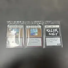 HUNTERHUNTER PSA10 一坪の海岸線 キラ版 バンダイ 2025年最新】一坪の海岸線の人気アイテム - メルカリ