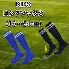 Item thumbnail for item 77c4b891-7b77-490c-a012-a721c97ae314