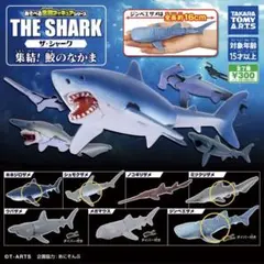 ザ・シャーク 集結！鮫のなかま ガチャ 4種