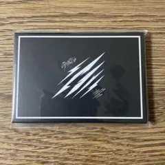 Stray Kids Scars/ソリクン　フォトカードセット