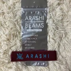 ARASHI BEAMS Special Luggage Mark