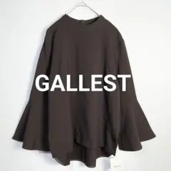 ✨新品✨ 定価9,900 ギャレスト ラッフルスリーブブラウス ダークブラウンM