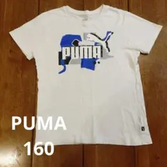 PUMA グラフィックTシャツ 160サイズ
