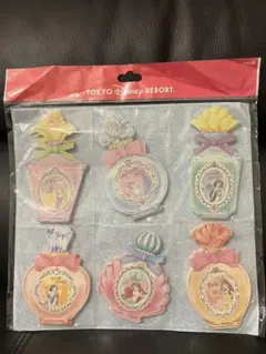 東京ディズニーリゾート ディズニープリンセス メモセット　未使用