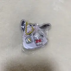 サンリオ　パッケージチャーム　ポチャッコ