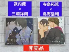 【非売品】月刊ディアプラス付録2点 鳥海浩輔 寺島拓篤 武内健 BLCD