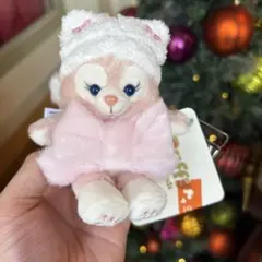 リーナベル　香港ディズニー　ぬいぐるみチャーム　ダフフレ