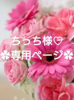 ちっち様 リクエスト 5点 まとめ商品♡