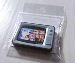 最終値下げ！星街すいせい TV型マグネット ホロぐら
