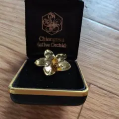 Item thumbnail for item 9cab675a-0503-4436-9013-dc6ade83a183