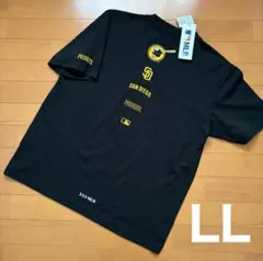 Item thumbnail for item 284d339a-2722-41e4-b0ae-c54c7bdfe58b