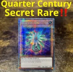 遊戯王【英語版】お注射天使リリー 25th クオシク‼️ - メルカリ