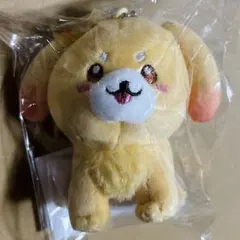 ファンターネ！ ぬいぐるみ ルチータ ももいろほっぺVer. - メルカリ