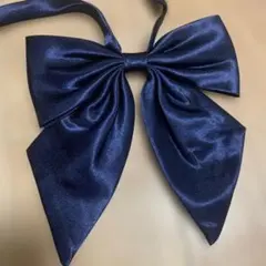 Item thumbnail for item 9f0bbdf1-13c3-4630-896b-5f6d1bb698db