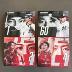 Item thumbnail for item 7163cd00-3f78-43b6-8567-e166694471c8