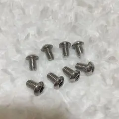 六角ソケット ネジ M6×10mm ステンレススチール 8個
