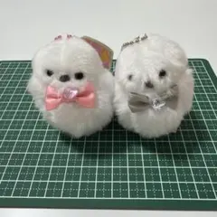 Happy Birthcolor シマエナガ ぬいぐるみ マスコット 2種セットのサムネイル