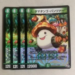 タマタンゴ・パンツァー 4枚