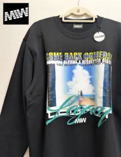 Item thumbnail for item 23e526fa-72d4-425c-a376-bf08073257c9