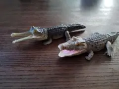 いきもの大図鑑 レプティ　ワニ2セット