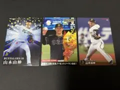 プロ野球チップスカード スターカード 2023 - メルカリ