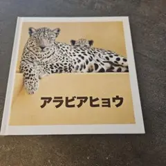 2026年最新】サウジアラビア館の人気アイテム - メルカリ