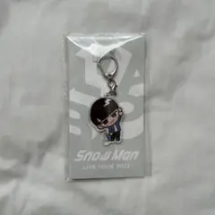 すのチル　キーホルダー　渡辺翔太