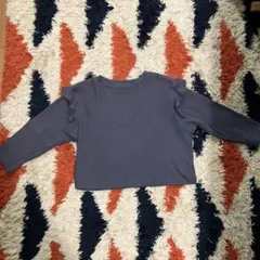 Item thumbnail for item 3b576581-da38-4830-b61d-daf2f6ae04a5