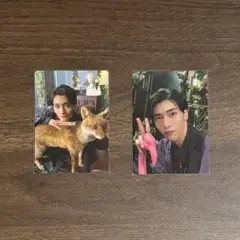 原因は自分にある。　武藤潤　トレカ