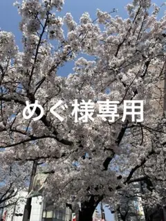 めぐ様専用　アンプタック　あっきぃ　ぬいぐるみ