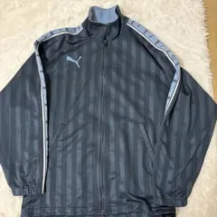 プーマ pumaジャージ 上 大きいロゴ　プージャー