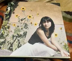 2026年最新】大島優子 写真集 ゆうらりゆうこの人気アイテム - メルカリ