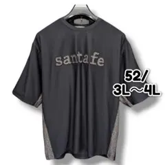 サンタフェ Santa Fe オーバーサイズ Tシャツ ヒョウ柄 48 ug2 - メルカリ