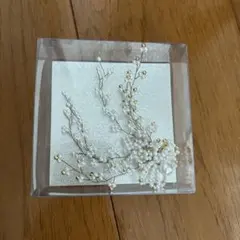 Item thumbnail for item 89698b0d-f849-436c-bafa-7fa3c0e220f7