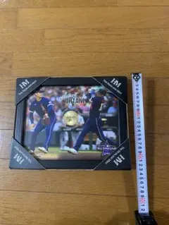 大谷翔平 【250個限定】 レプリカラインナップカードフレーム フォトミント 大谷翔平 【250個限定】 レプリカラインナップカードフレーム