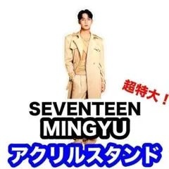 15cm★SEVENTEEN セブチ★ミンギュ★全身アクリルスタンドq