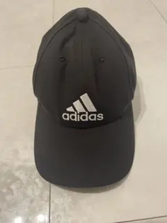 Item thumbnail for item b6ba3e8e-069a-49a1-9381-d8ad5c3d1311