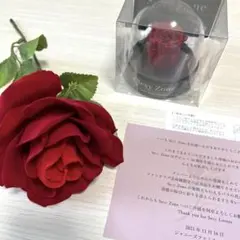 SexyZone 10周年 記念品